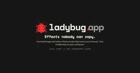Ladybug — local-first browser effects studio