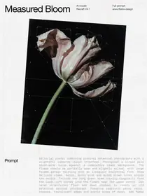 Measured Bloom